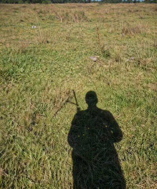 Raw POV hunt: dog tracking ahead with wind and cover, no edits